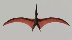 Pterodactyl Low-poly 3D model