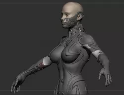 Robot Girl high poly model zbrush project and subtools 3D model 3D model