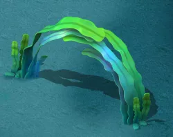 Seaside Cartoon World - Seaweed Arches 3D model