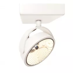 Spot Ceiling 3D model