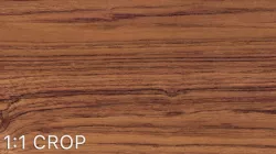 Teak wood veneer texture Texture