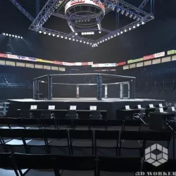 UFC Arena 3D model