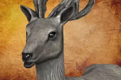 Animal 58 - Deer Game ready 3D model