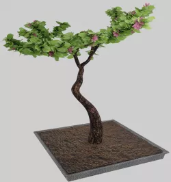 Bonsai 3D model