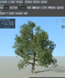 Broadleaf Package 3D model