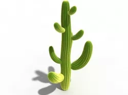 cactus 3D model