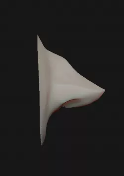 CARTOON NOSES 3D model