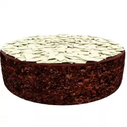 Chocolate cake with white chocolate 3D model