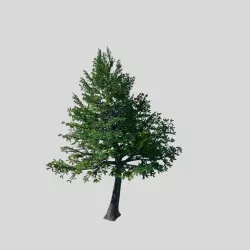 Cincinnati - Evergreen 3D model