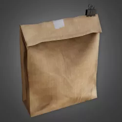 CLA - School Brown Bag Lunch - PBR Game Ready Low-poly 3D model