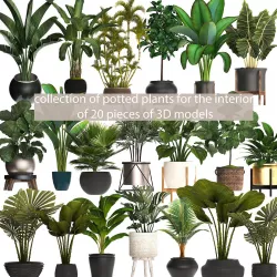 collection of plants for the interior of 20 pieces of 3D models 3D model