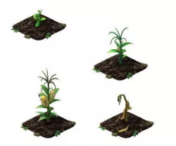 corn cartoon  3D model