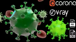 Coronavirus 3D model