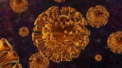 covid-19 virus 3d model corona virus 3D model