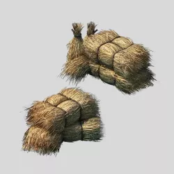 Crop - straw 3D model