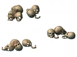 Death Desert - Skull 01 3D model