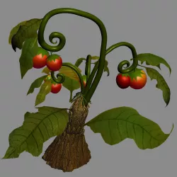 Elves Villa - flowers 01 3D model