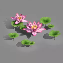 Elves Villa - lotus 02 3D model