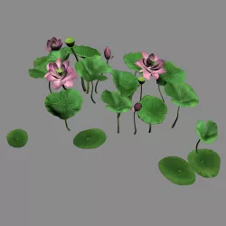 Elves Villa - lotus 04 3D model
