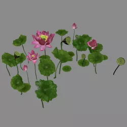 Elves Villa - lotus 06 3D model