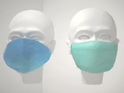 Face Mask 3D model