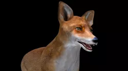 Fox red 3D model Low-poly 3D model