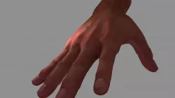 Hand1 hand 3D model