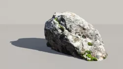 Lichen Covered Rock 3D Scanned Model 3D model