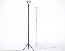 Lola Luceplan floor lamp 3D model