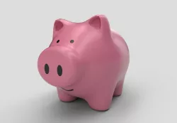 MONEY BOX PIG 3D model