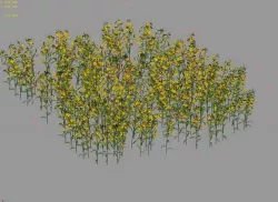 New Village - rape field 3D model