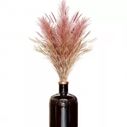 Pampas bouquet flower 02 3D model