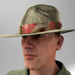 Panama Straw Hat Package 3D model