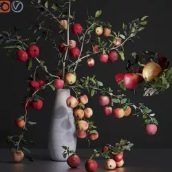 Red Cherry tomato apple branches Dry leaves Vase 3D model