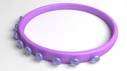 Ring Plastic 10 3D model