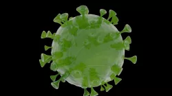Sars virus korona virus 3D model