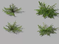 Songshan - plants - small plants 3D model