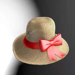 Straw Beach Hat Package 3D model