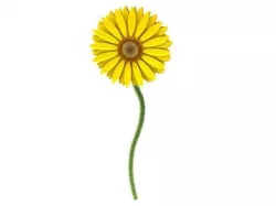 sunflower 3D model