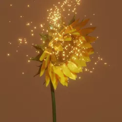 sunflower 3D model