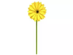sunflower 3D model