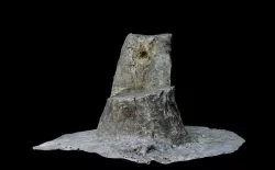 Throne - stump scan 3D model