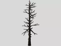 Vampire Sinnar - dead tree 1001 3D model