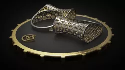 Vision Ring 3D model