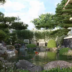 Water - Koi fish 02 3D model