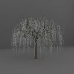 Widow Tree 3D model