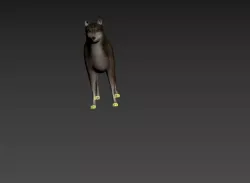 wolf model 3D model