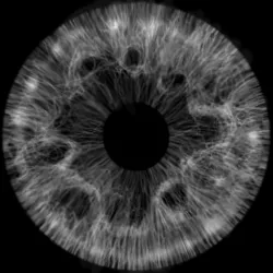3D Eyes 3D model