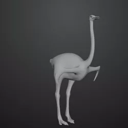 3D model of Ostrich 3D model