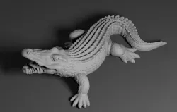 Alligator Crocodile  3D model